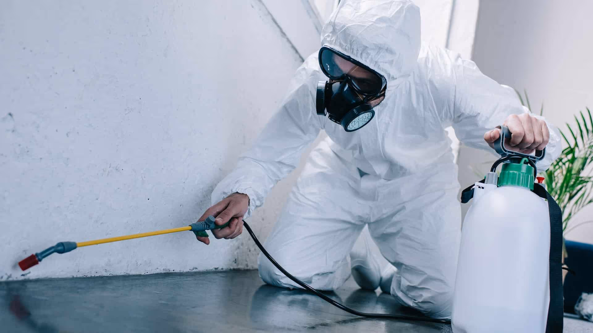 Pesticon technician treating a baseboard during a Vancouver pest control visit